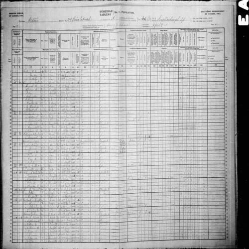 Digitized page of Census of Canada, 1901, Page number 8, for Emma A Parliament