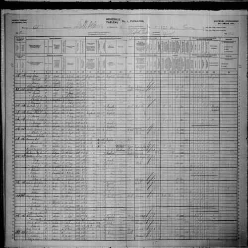 Digitized page of Census of Canada, 1901, Page number 11, for Tenty Wheeler