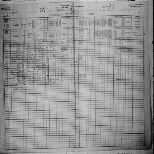 Digitized page of Census of Canada, 1901, Page number 15, for Martha Blackwell