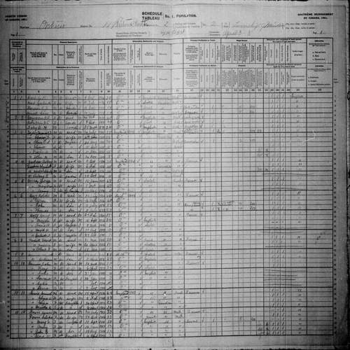 Digitized page of Census of Canada, 1901, Page number 1, for Isabella Nesbitt