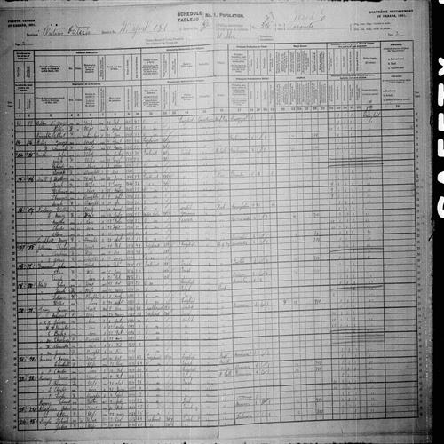 Digitized page of Census of Canada, 1901, Page number 2, for William Neilson