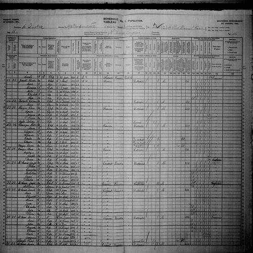 Digitized page of Census of Canada, 1901, Page number 11, for Wolite Bourque