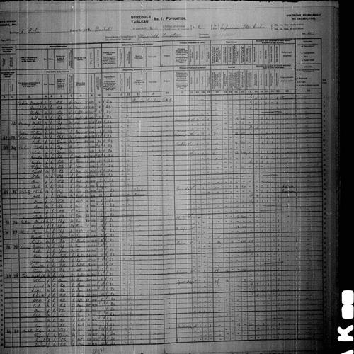 Digitized page of Census of Canada, 1901, Page number 10, for Charles Doherty