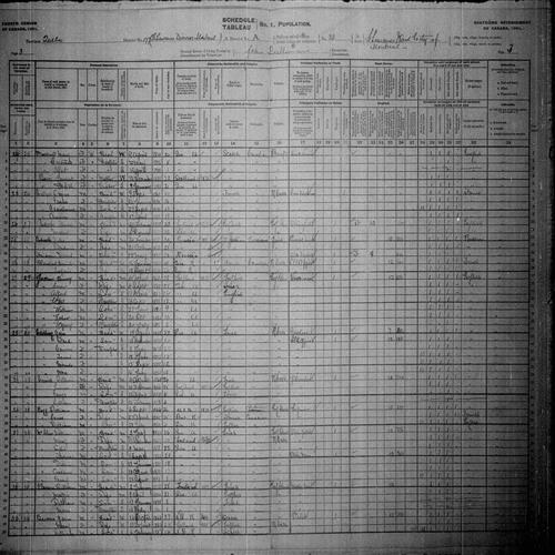 Digitized page of Census of Canada, 1901, Page number 3, for John Burns