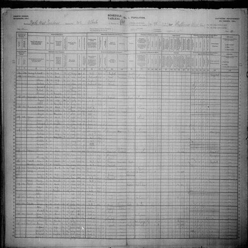 Digitized page of Census of Canada, 1901, Page number 13, for James H Davison