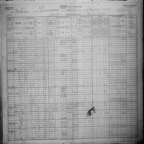 Digitized page of Census of Canada, 1901, Page number 21, for Anna Rogers