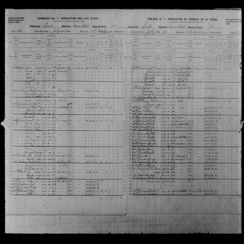 Digitized page of Census of Northwest Provinces, 1906, Page number 24, for Petra Guloien
