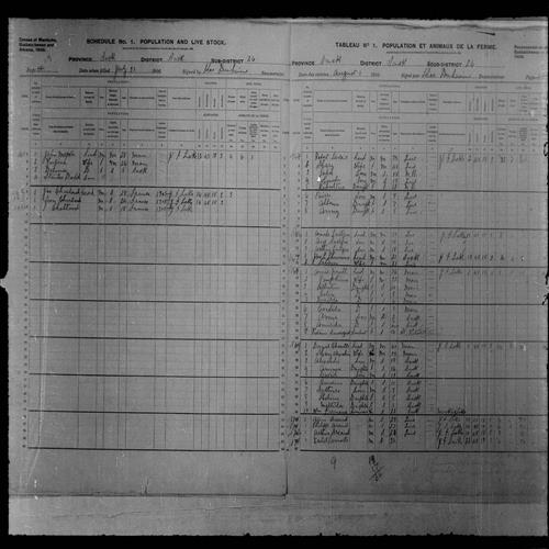 Digitized page of Census of Northwest Provinces, 1906, Page number 20, for Amilida Nault