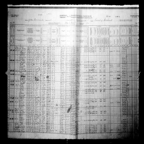 Digitized page of Census of Canada, 1911, Page number 20, for John Leger