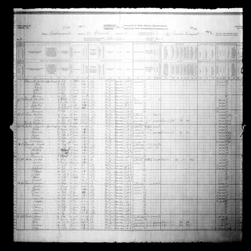 Digitized page of Census of Canada, 1911, Page number 4, for Oscar Garlin