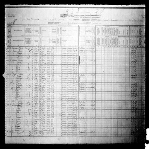 Digitized page of Census of Canada, 1911, Page number 11, for Adolphes Leyre