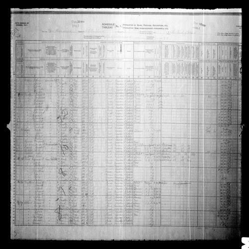 Digitized page of Census of Canada, 1911, Page number 11, for Donat A Harston