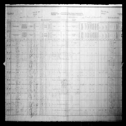 Digitized page of Census of Canada, 1911, Page number 10, for Jime Domanders
