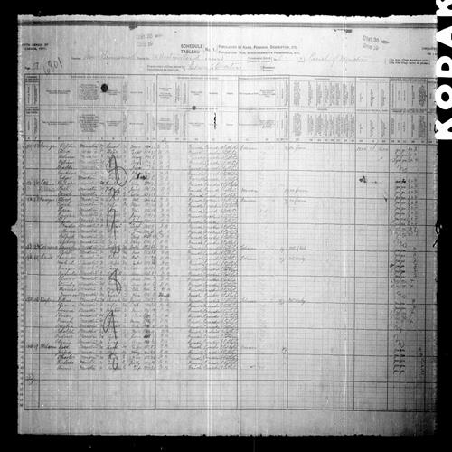 Digitized page of Census of Canada, 1911, Page number 17, for Octave Bourque