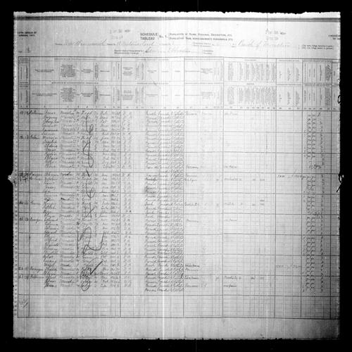 Digitized page of Census of Canada, 1911, Page number 18, for Thaddy Bourque