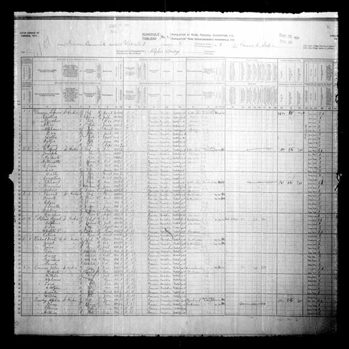 Digitized page of Census of Canada, 1911, Page number 1, for Wilfred Vienneau