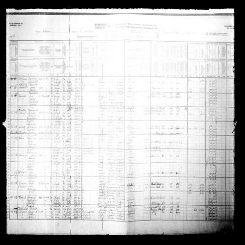 Digitized page of Census of Canada, 1911, Page number 8, for Alexander Potthoff