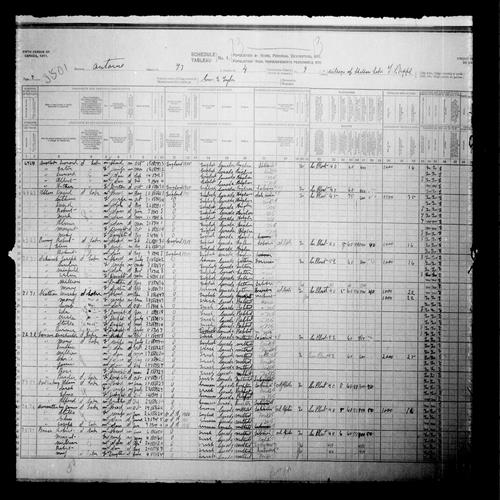 Digitized page of Census of Canada, 1911, Page number 7, for Adam Valkenburg