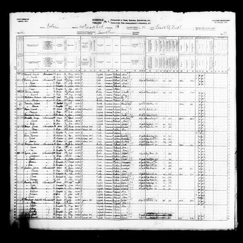Digitized page of Census of Canada, 1911, Page number 28, for James Kane