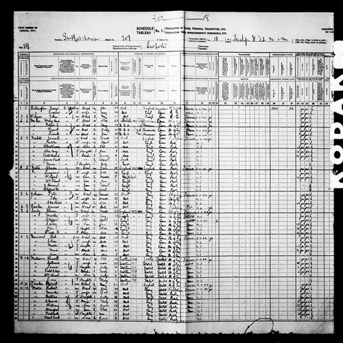 Digitized page of Census of Canada, 1911, Page number 14, for Isabella Nesbitt