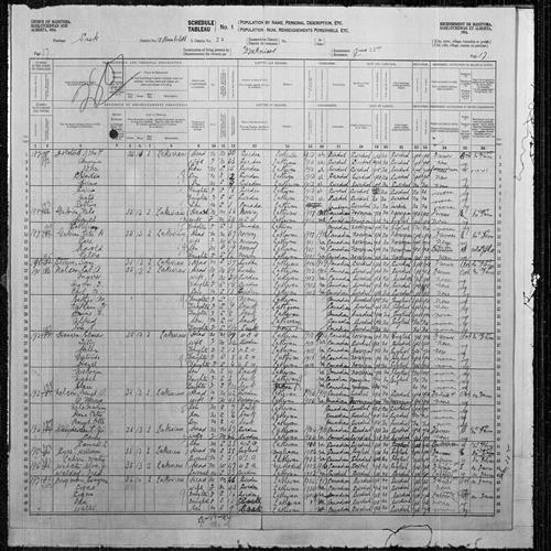 Digitized page of Census of the Prairie Provinces, 1916, Page number 17, for Petra Guloien