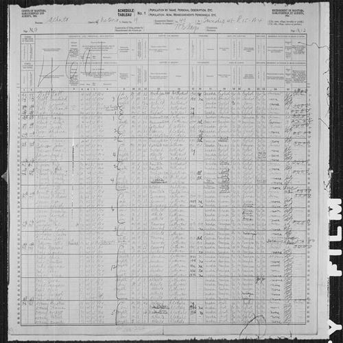 Digitized page of Census of the Prairie Provinces, 1916, Page number 13, for Peder Tinholm