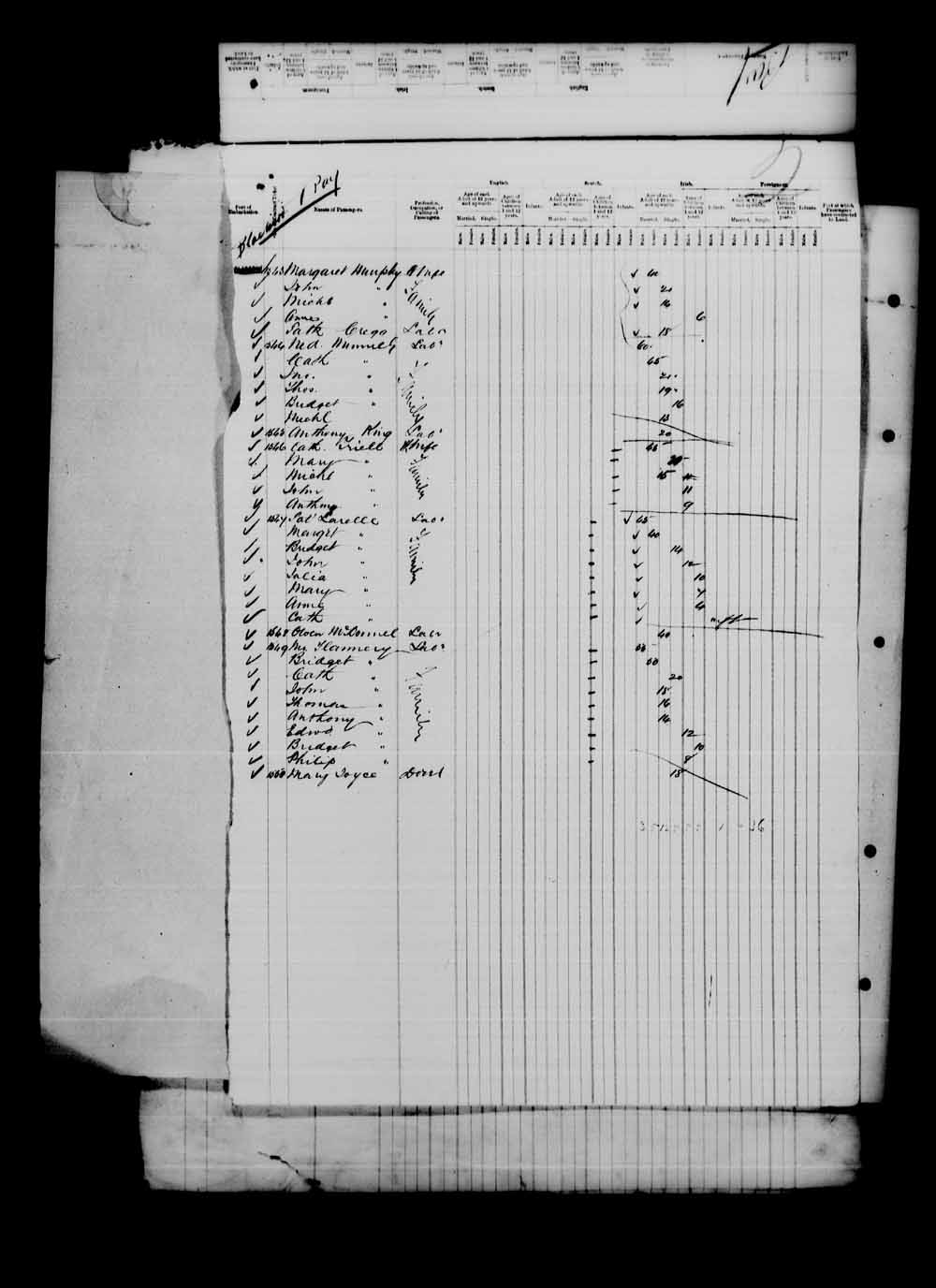 Digitized page of Passenger Lists for Image No.: e003542682