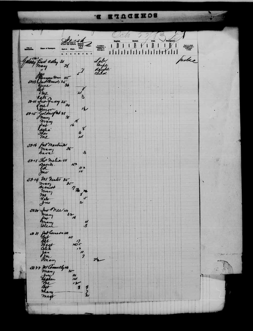 Digitized page of Passenger Lists for Image No.: e003543410