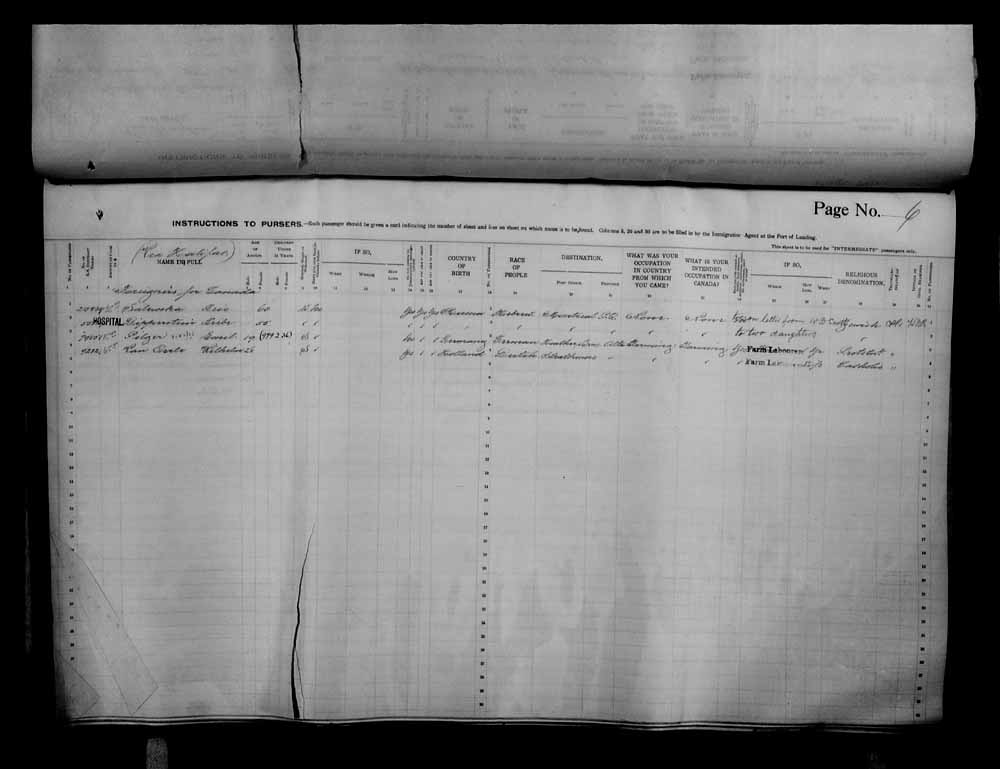 Digitized page of Passenger Lists for Image No.: e006070666