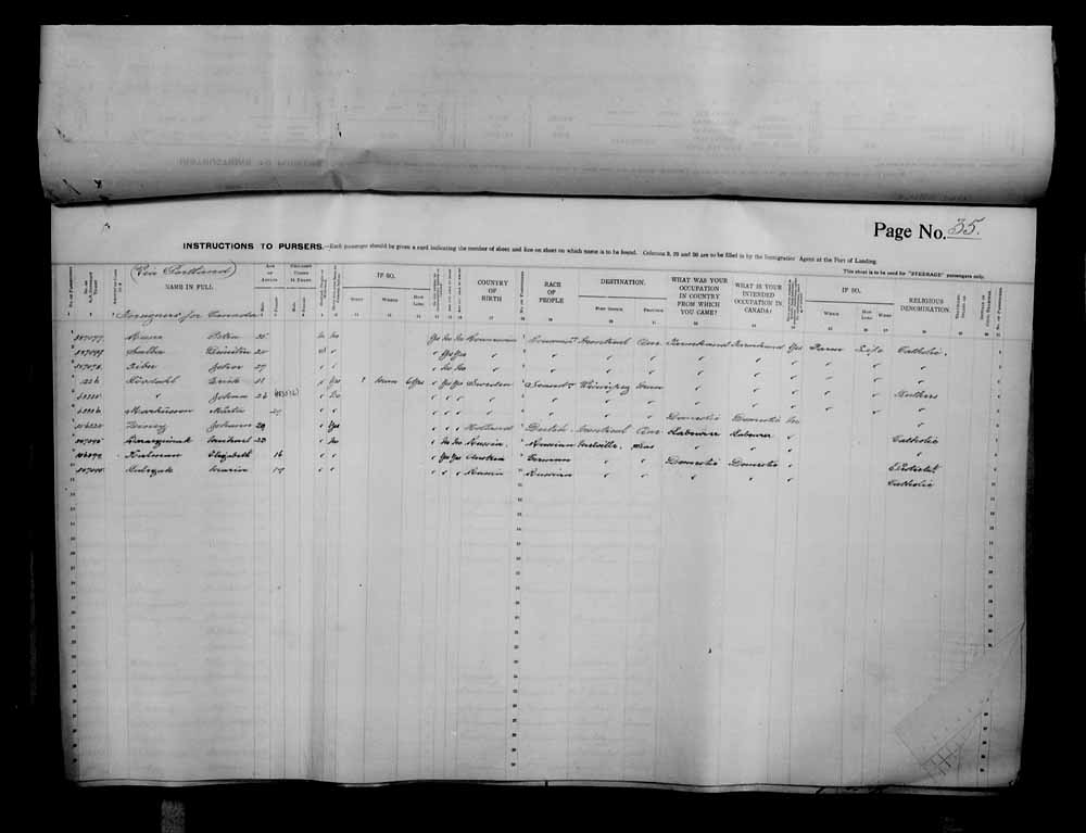 Digitized page of Passenger Lists for Image No.: e006070695