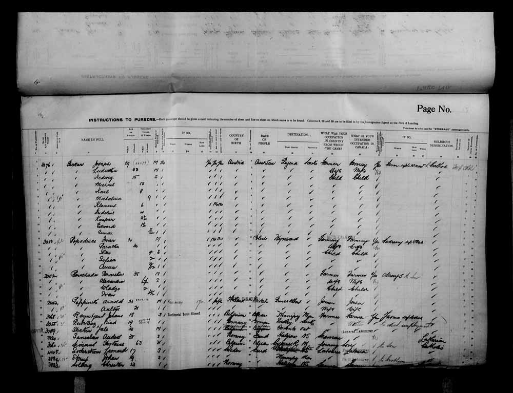 Digitized page of Passenger Lists for Image No.: e006070735