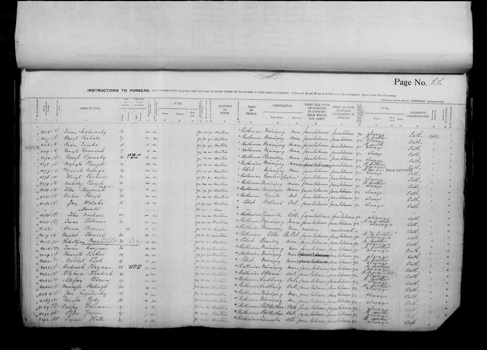 Digitized page of Passenger Lists for Image No.: e006070946