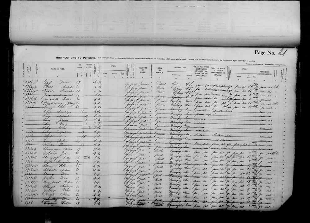 Digitized page of Passenger Lists for Image No.: e006070956