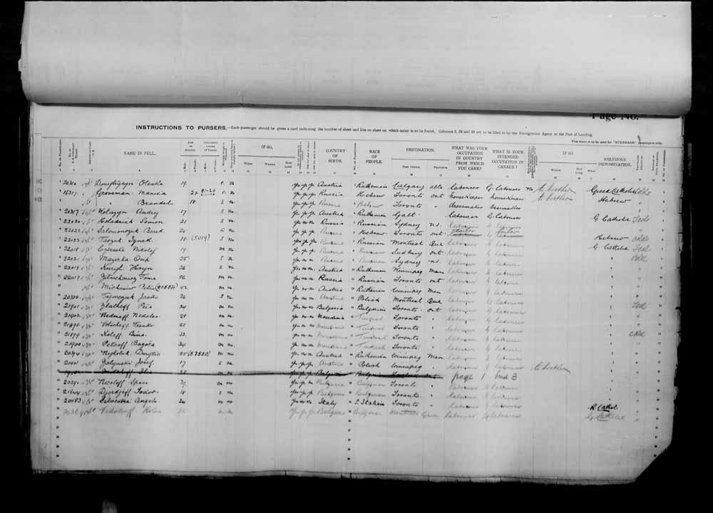 Digitized page of Passenger Lists for Image No.: e006071001