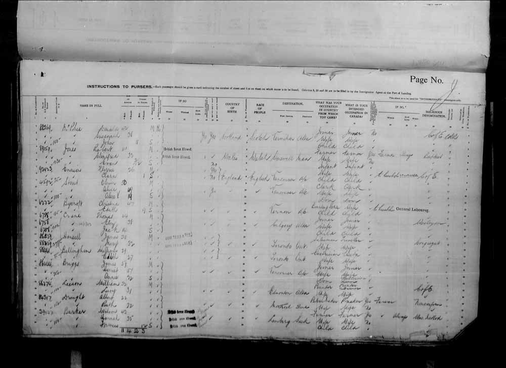 Digitized page of Passenger Lists for Image No.: e006071043