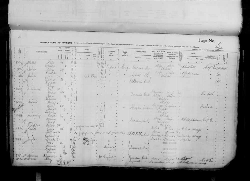 Digitized page of Passenger Lists for Image No.: e006071057