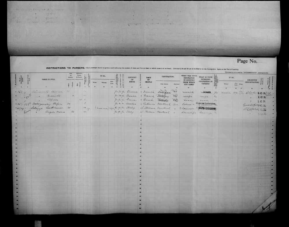 Digitized page of Passenger Lists for Image No.: e006072651