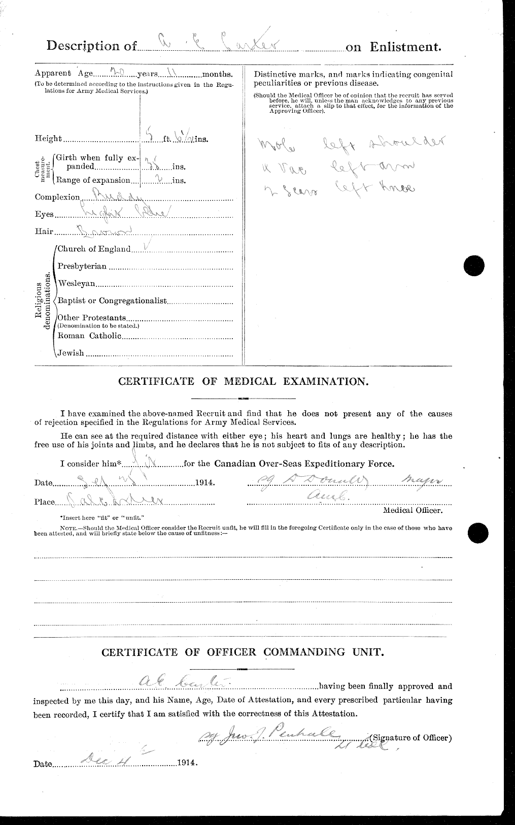 Personnel Records of the First World War - CEF 010900b