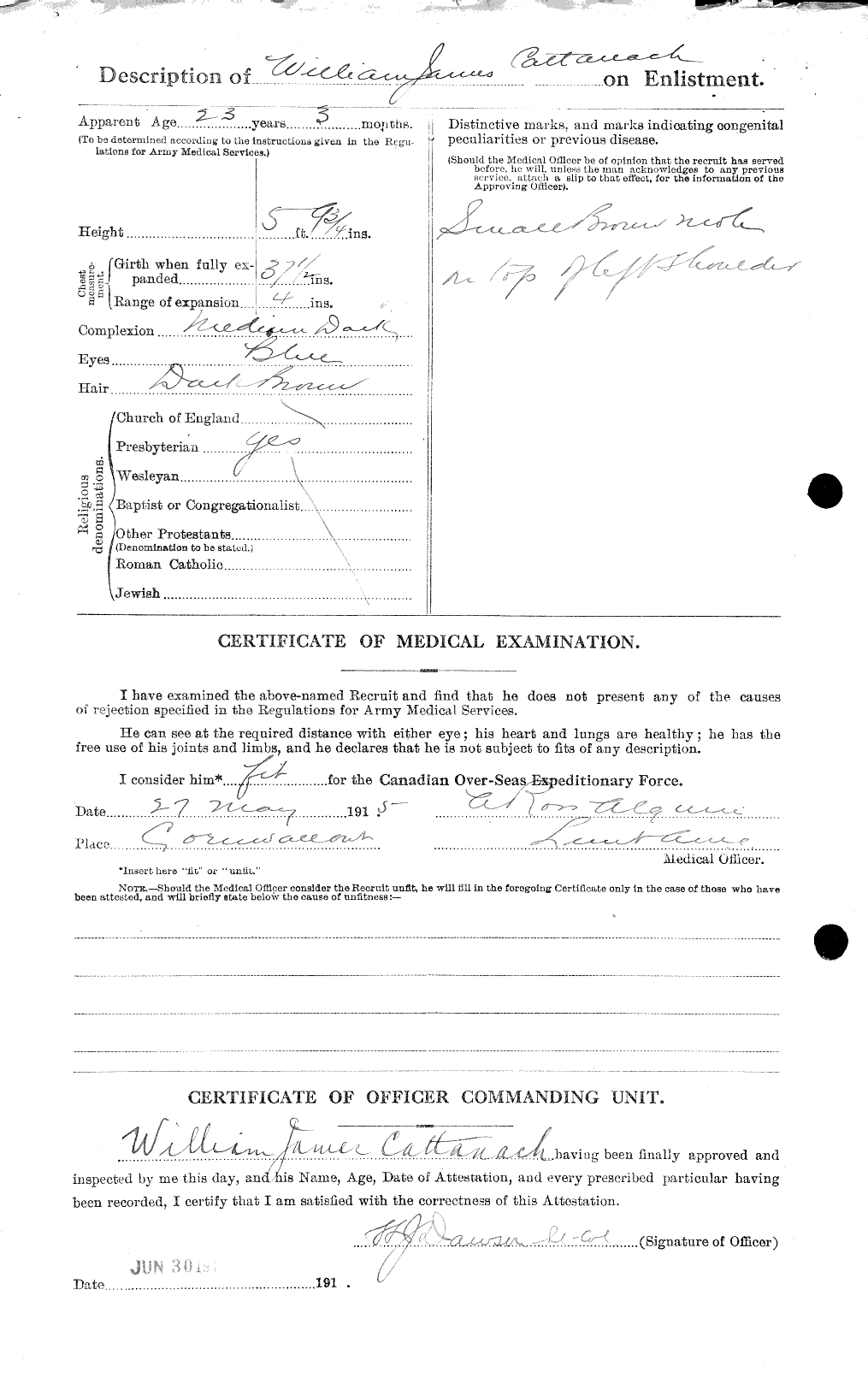 Personnel Records of the First World War - CEF 013313b