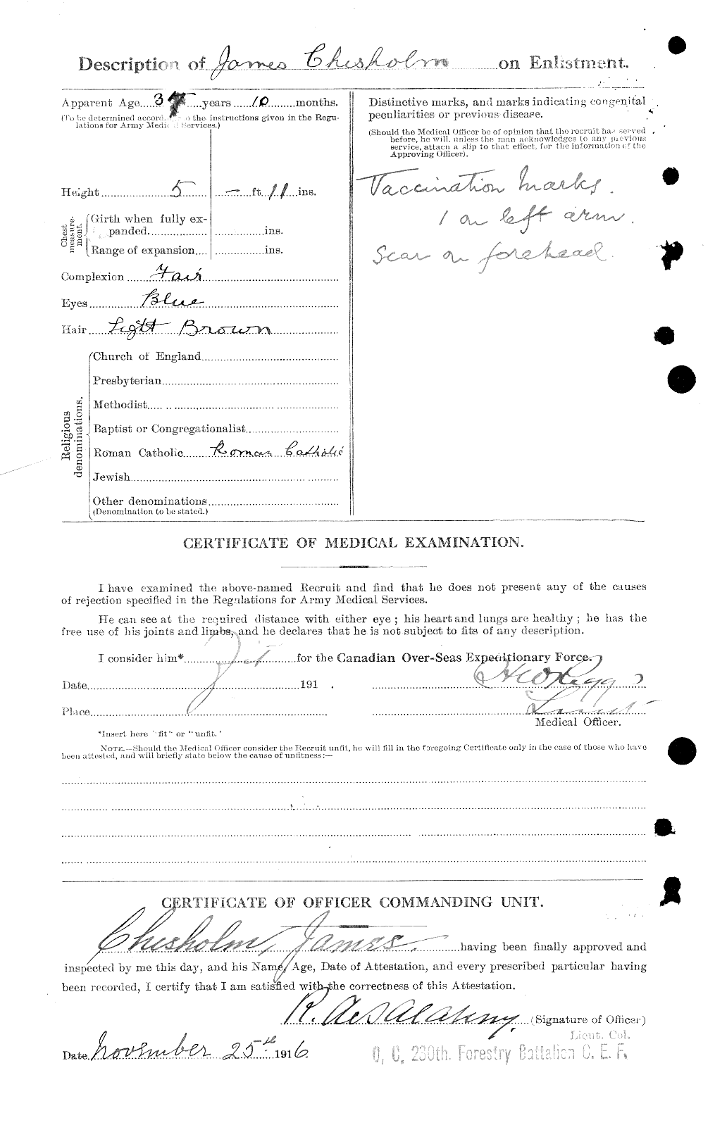 Personnel Records of the First World War - CEF 016262b
