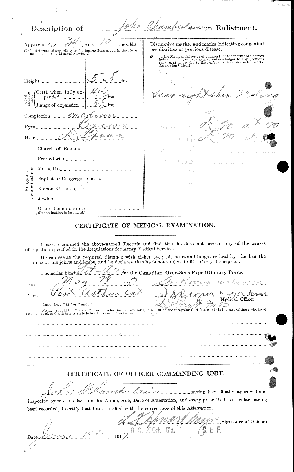 Personnel Records of the First World War - CEF 019590b
