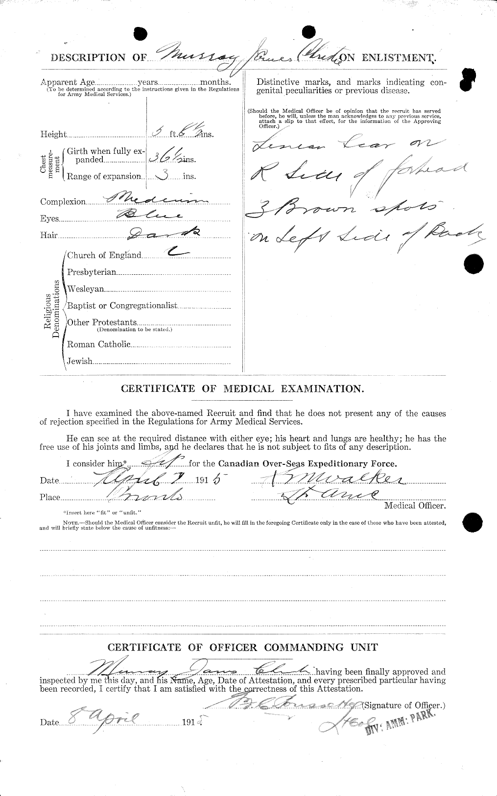 Personnel Records of the First World War - CEF 022031b