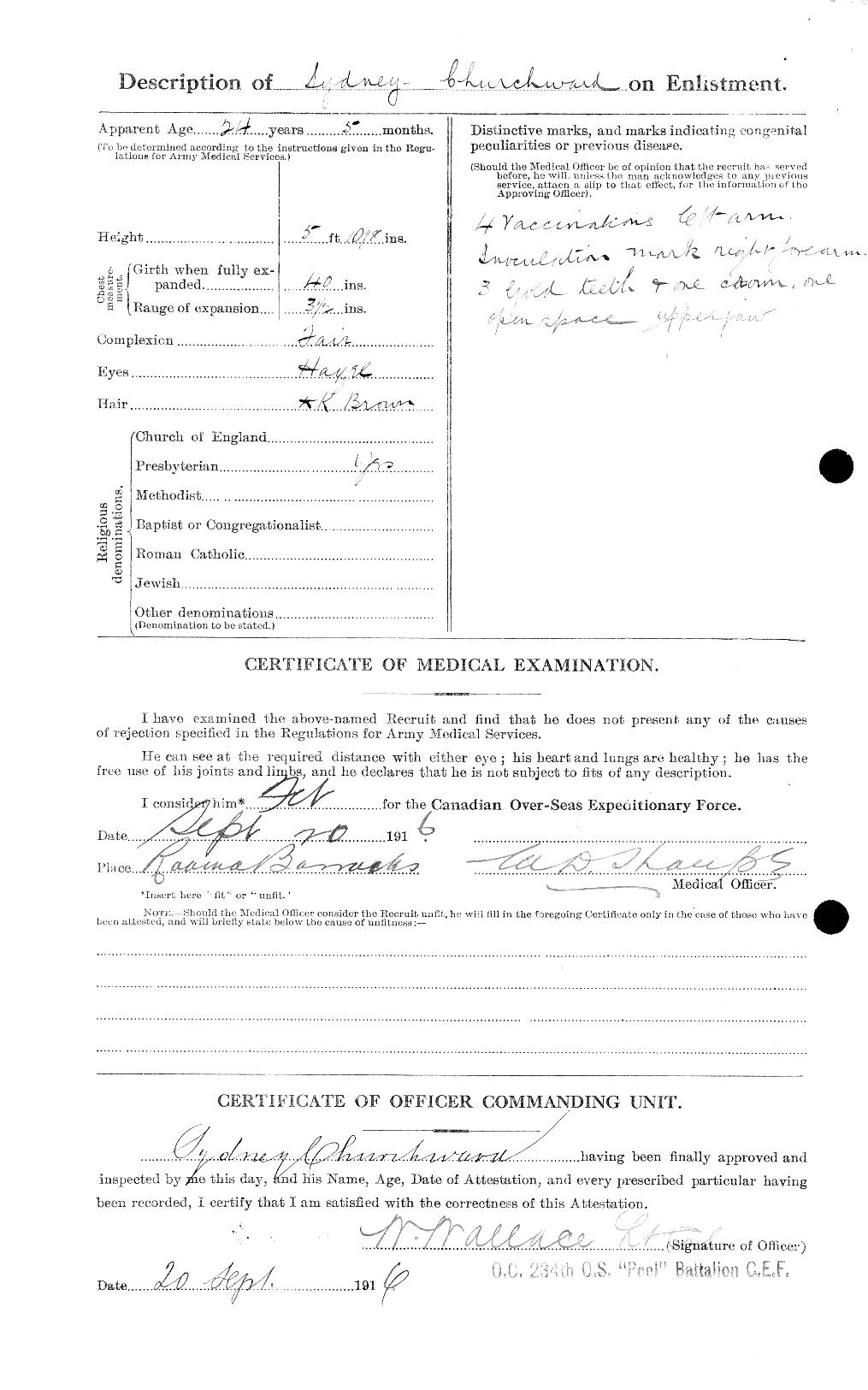 Personnel Records of the First World War - CEF 022522b