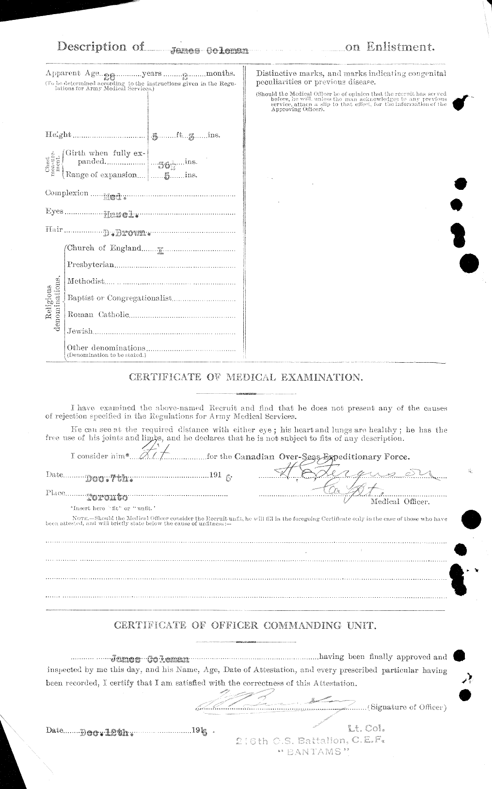Personnel Records of the First World War - CEF 028186b
