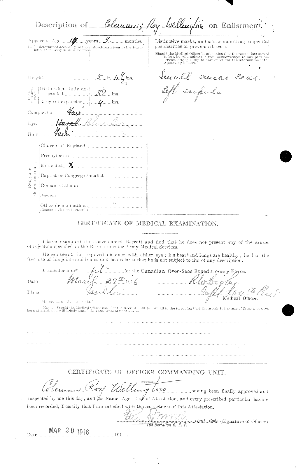 Personnel Records of the First World War - CEF 028264b