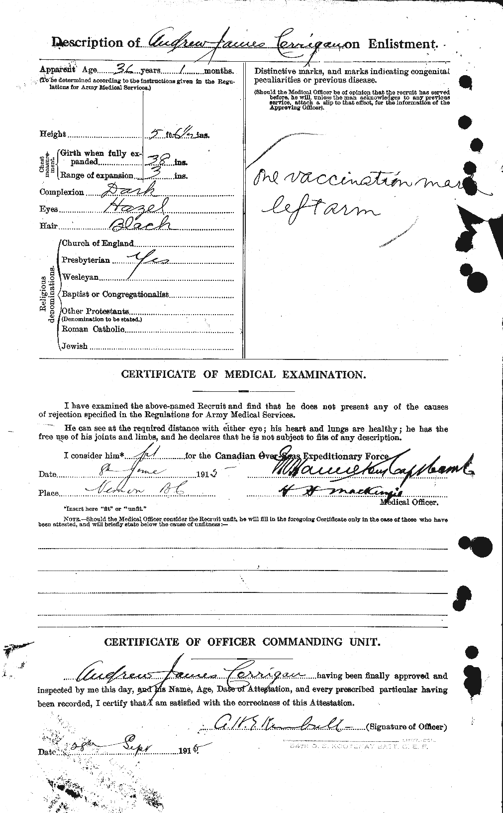 Personnel Records of the First World War - CEF 054843b