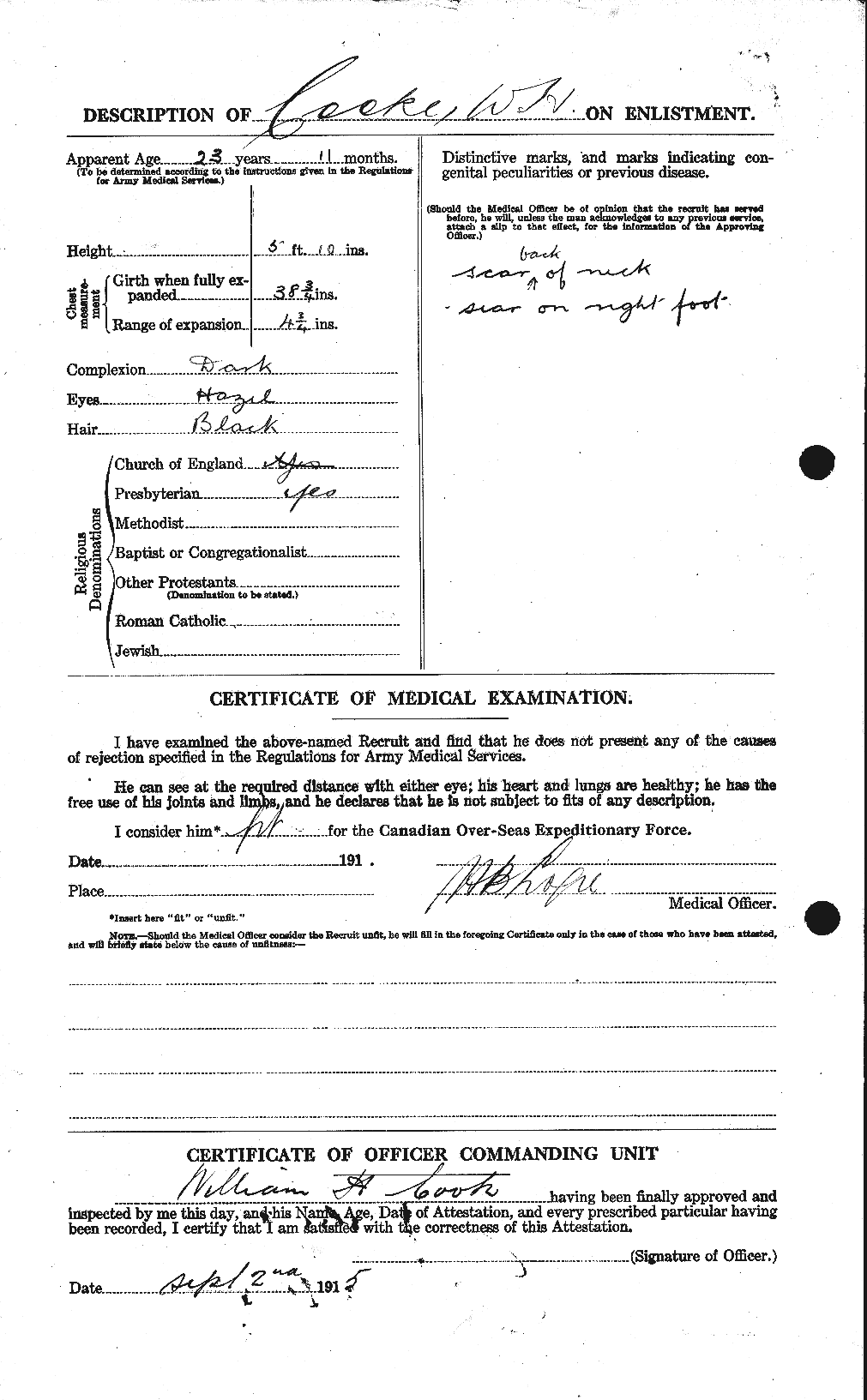 Personnel Records of the First World War - CEF 056803b