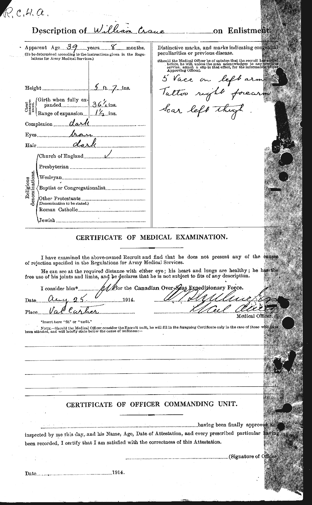 Personnel Records of the First World War - CEF 061736b