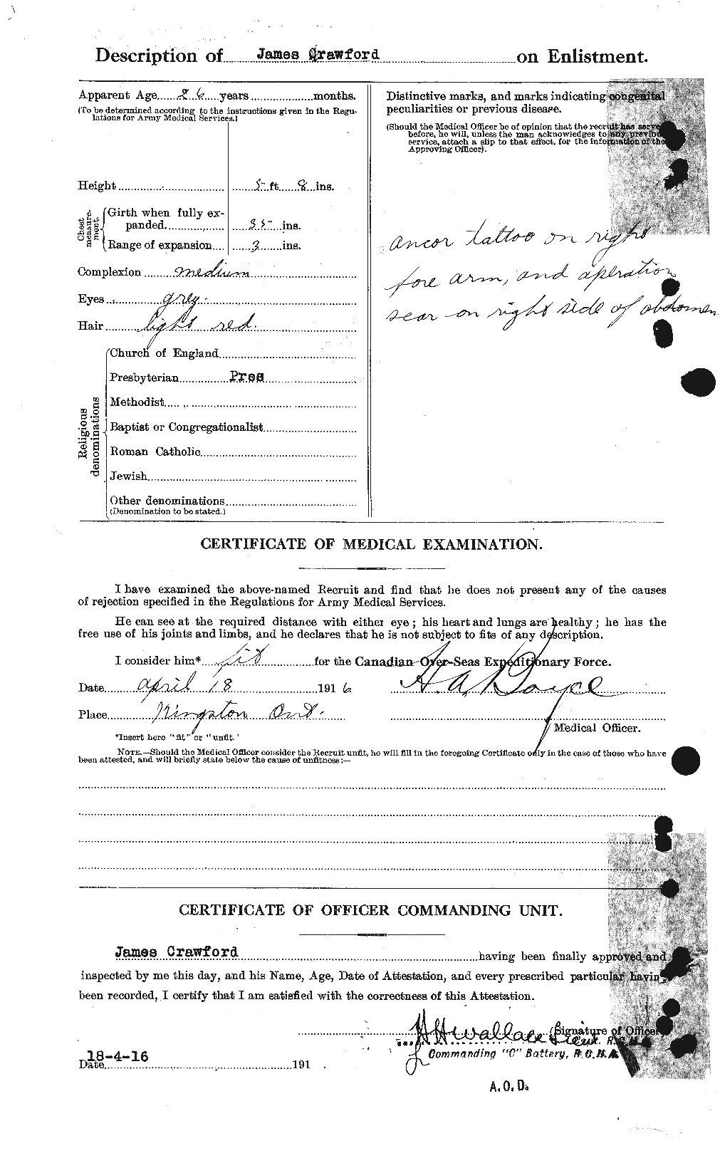 Personnel Records of the First World War - CEF 062772b