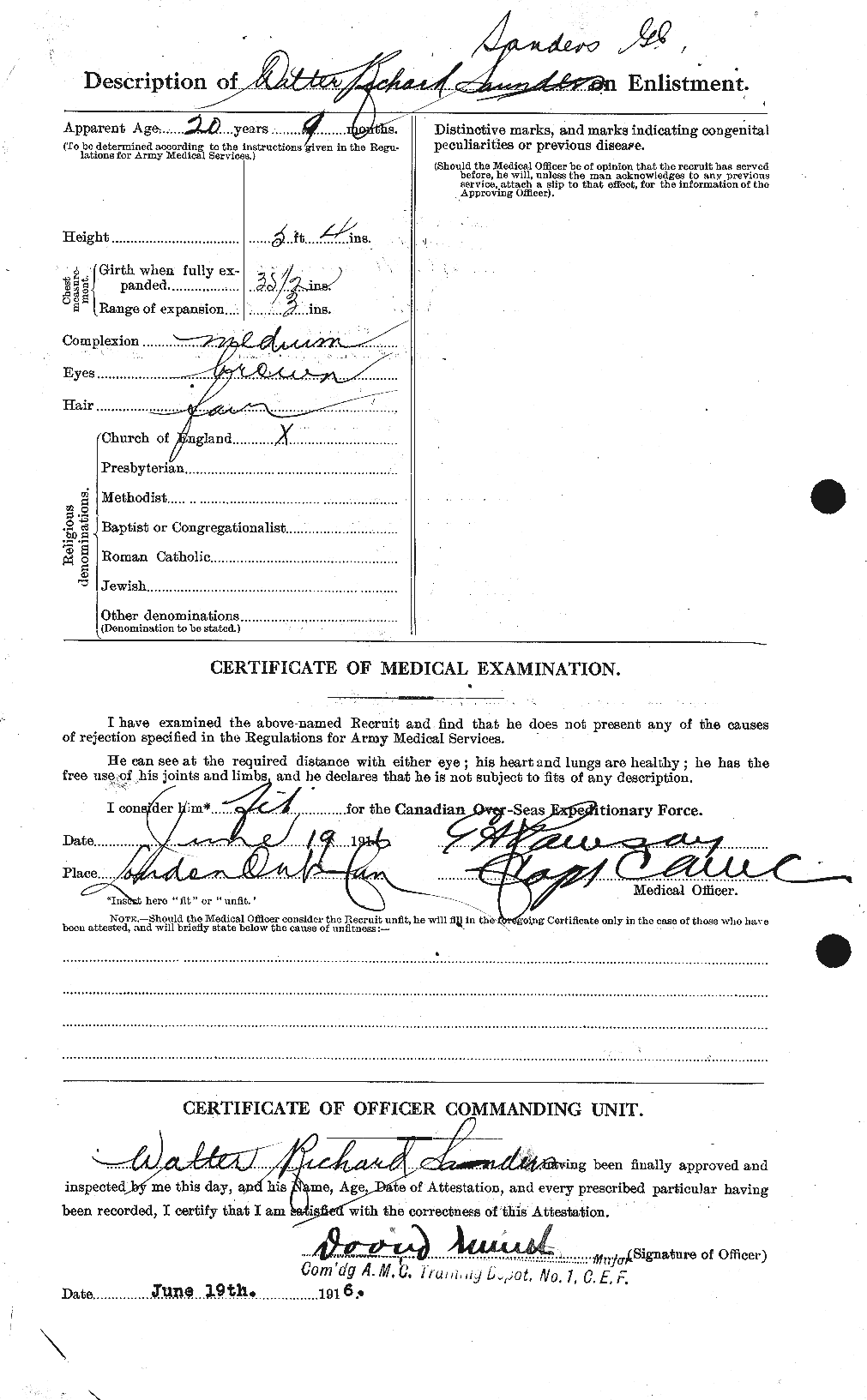 Personnel Records of the First World War - CEF 081343b